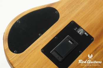 Acoustasonic Player Telecaster - Arctic White